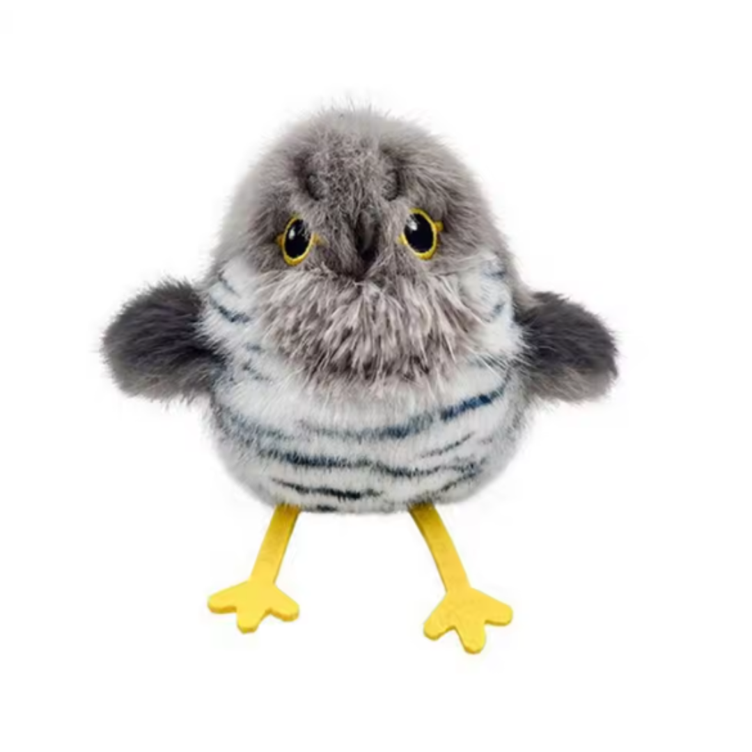 Cuckoo